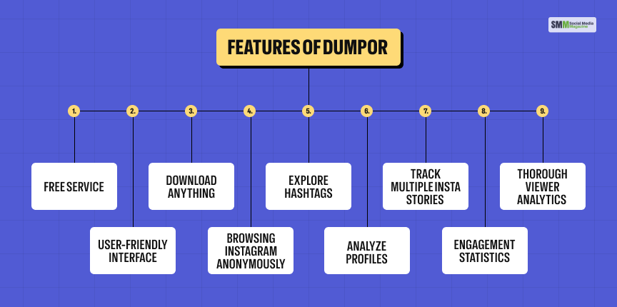 Features Of Dumpor