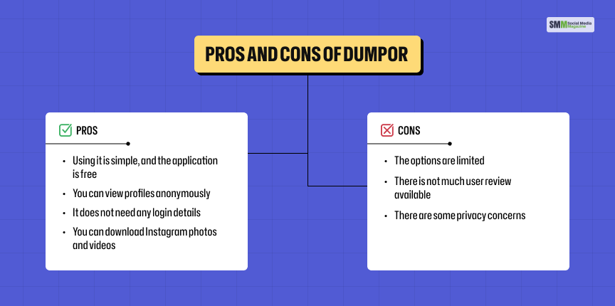 Pros and cons of Dumpor