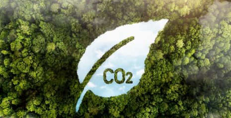 Carbon Footprint