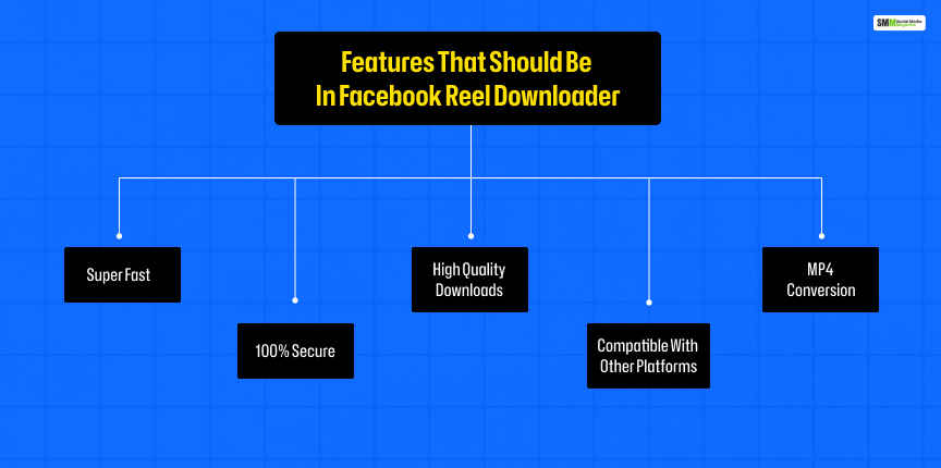 Features of Facebook Reels Downloader Service