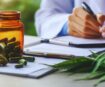 Medical Cannabis Attorney