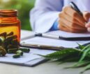 Medical Cannabis Attorney