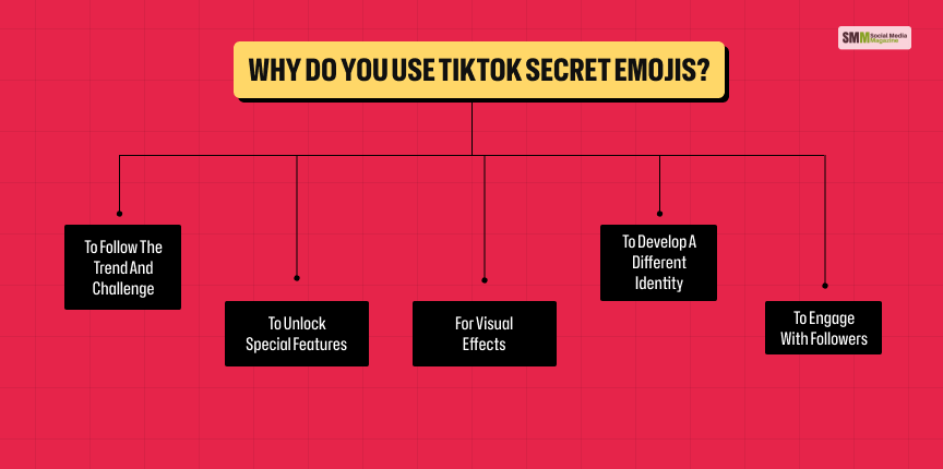 Why Do You Use TikTok Secret Emojis_