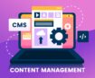 cms content management system