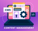 cms content management system